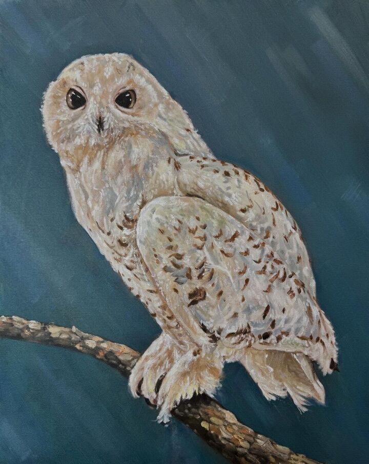 Owl, from the Peabody’s collection, Oil
